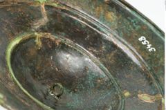 Foto von Bronzephalere (NHMW-PRAE-003458)